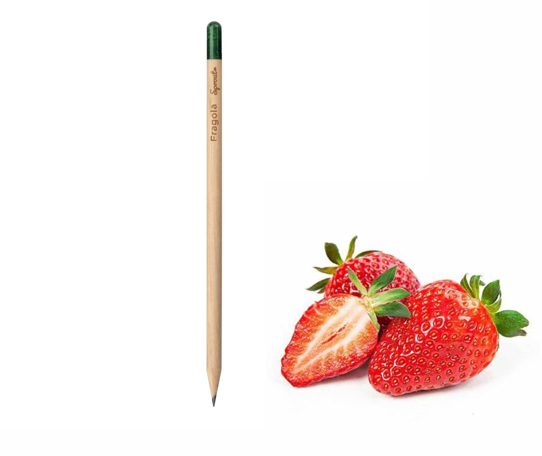 Sprout matita piantabile 00130