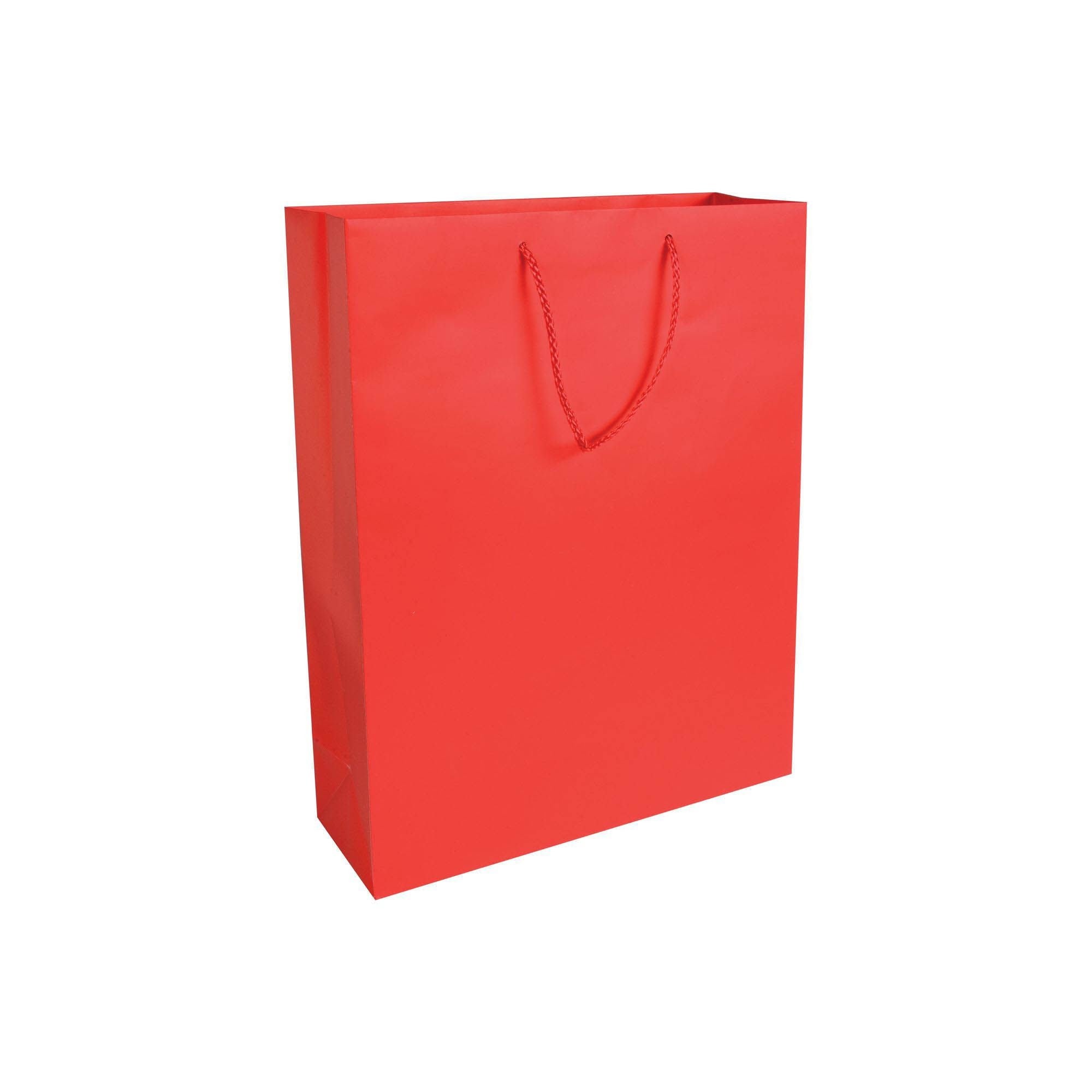 Shopper carta laminata opaca 22x29x10 05185