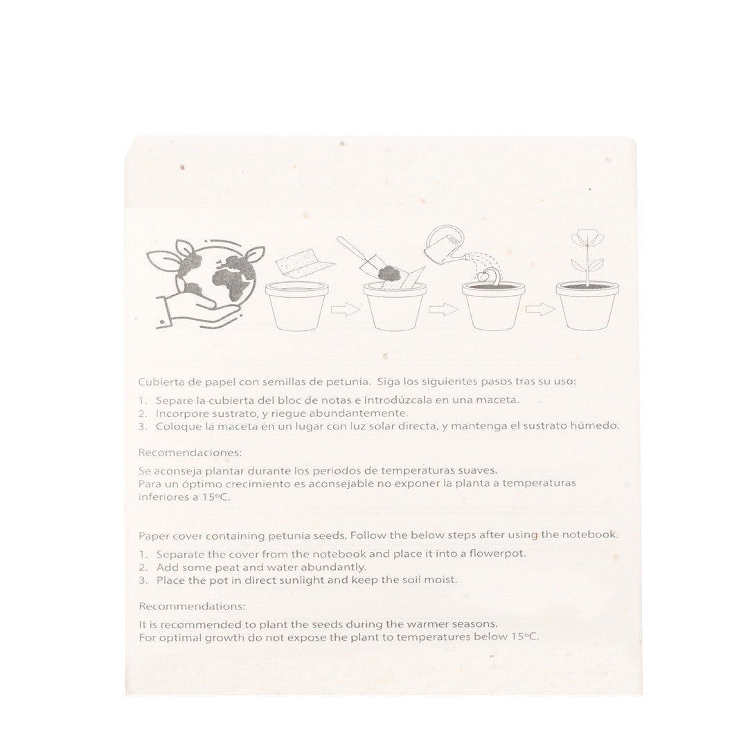 Set 6 matite colorate e temperamatite in confezione con semi 00542