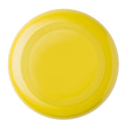 03070 FRISBEE
