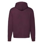 Premium felpa cappuccio zip lunga F62034