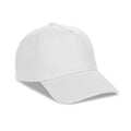 Cappellino golf 5 pannelli 03550