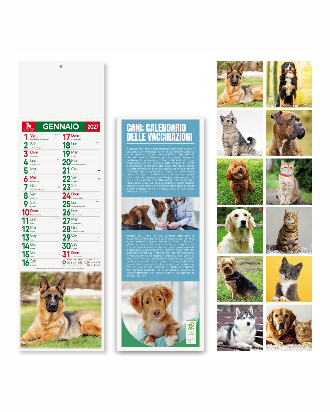 Calendario silhouette illustrato Cani e gatti 07537