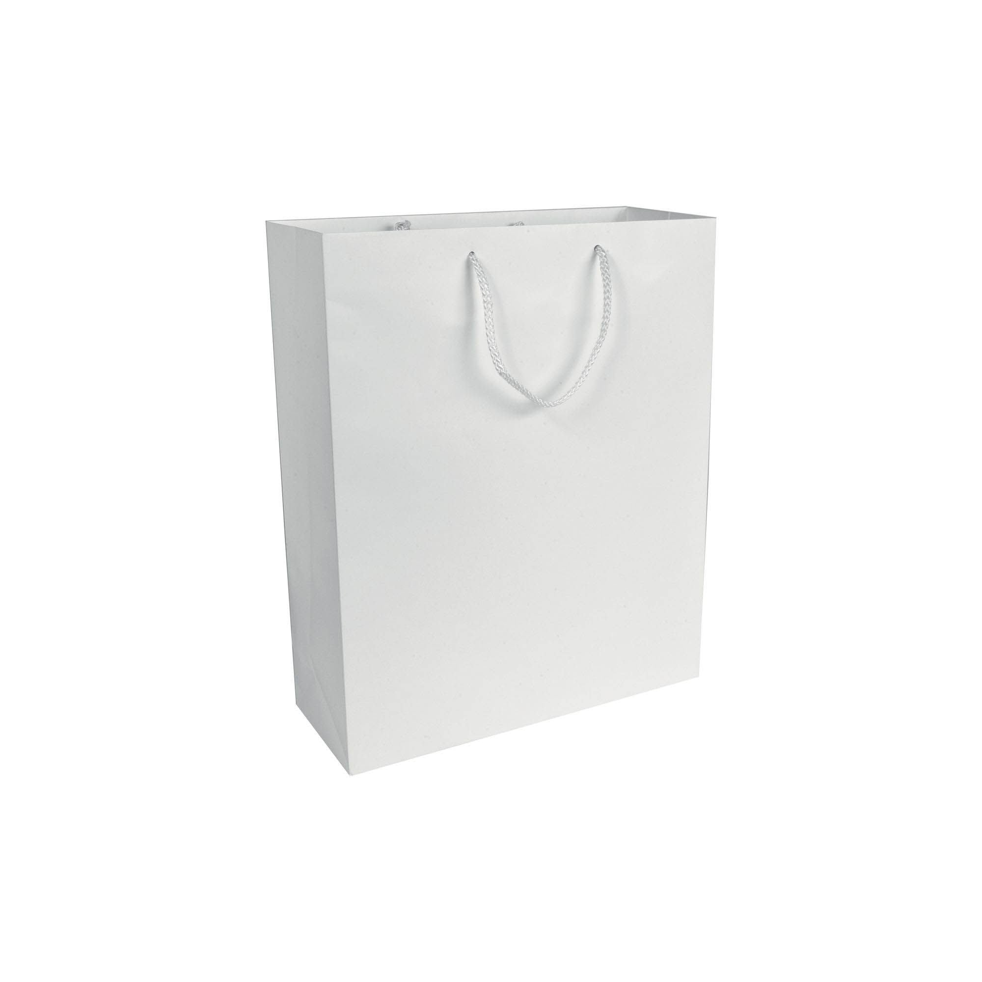 Shopper carta laminata opaca 18x25x7 05184