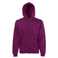 Classic felpa cappuccio zip lunga F62062