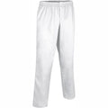 PIXEL Pantaloni da lavoro