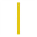 Righello in plastica 30 cm 00503