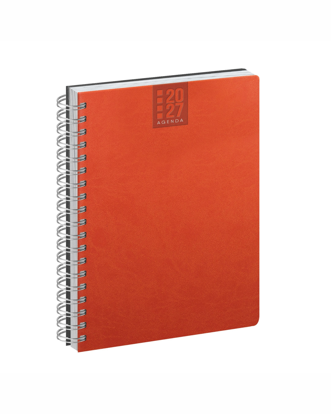 Agenda giornaliera 15x21 termovirante 07027