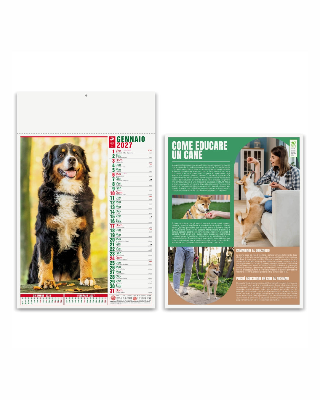 Calendario illustrato Cani e gatti 07529
