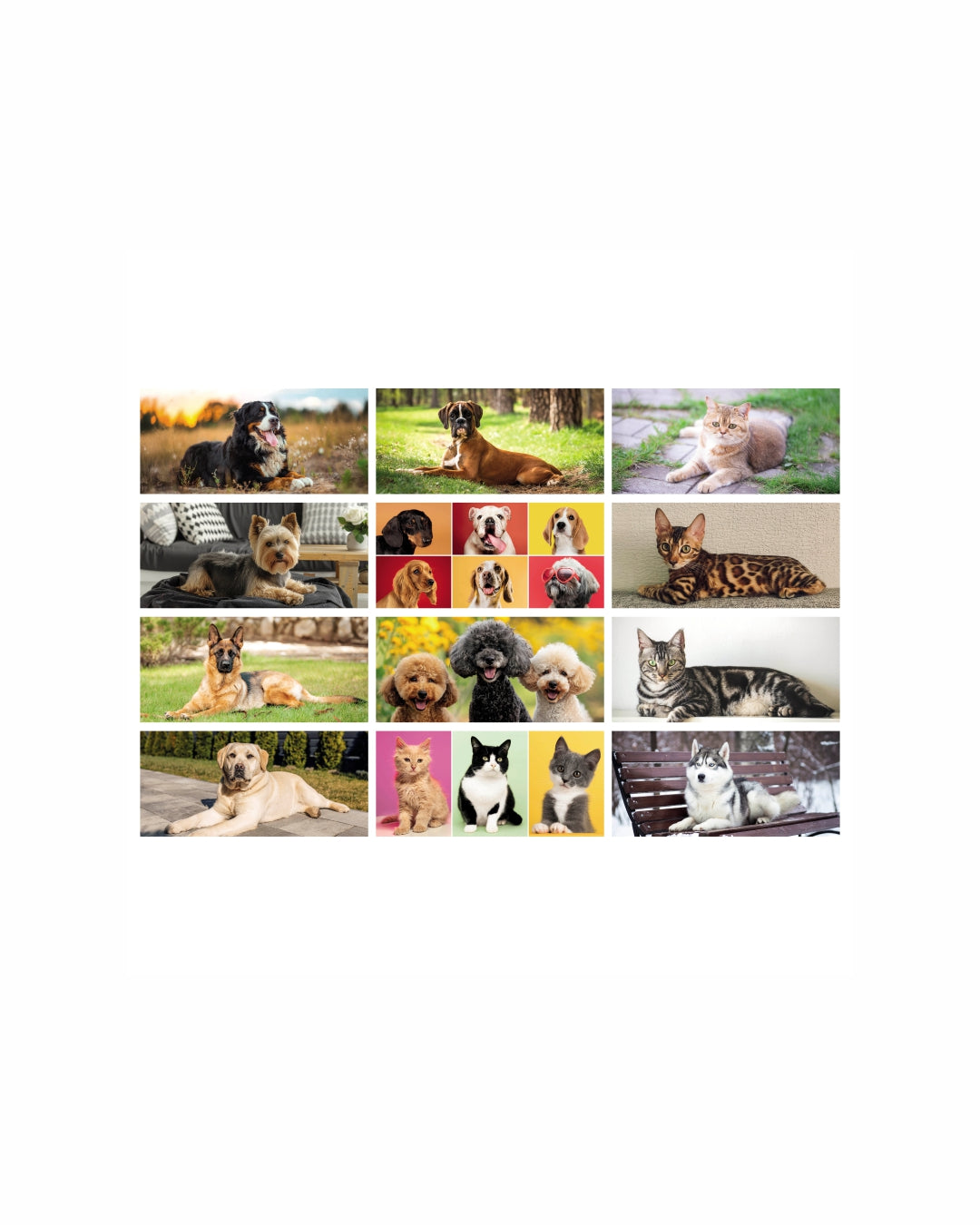 Calendario da tavolo Cani e gatti 07517