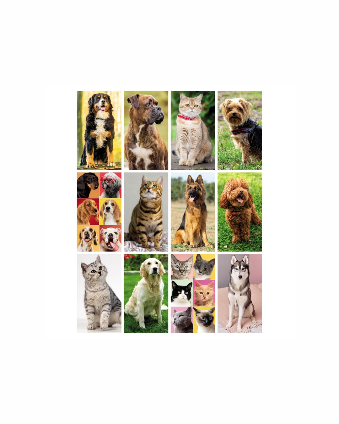 Calendario illustrato Cani e gatti 07529