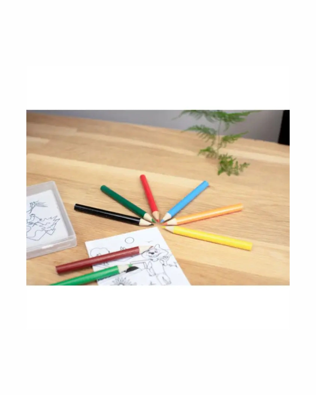 Set 8 matite colorate e 20 disegni 05567