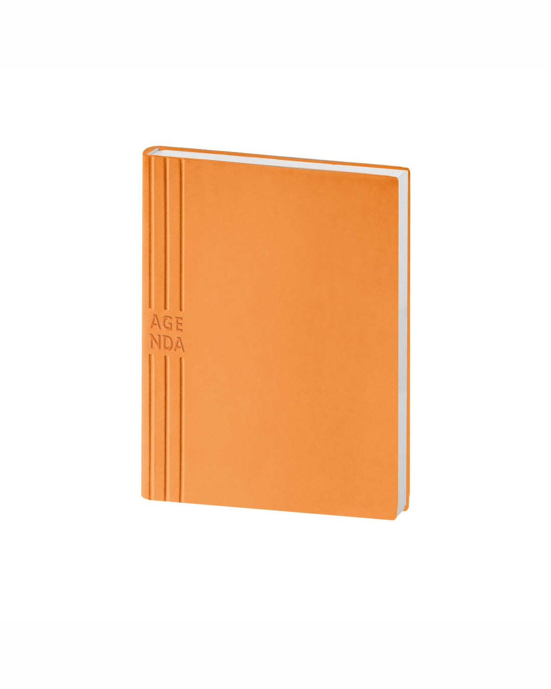 Agenda giornaliera flessibile in Tam 15x21 07050