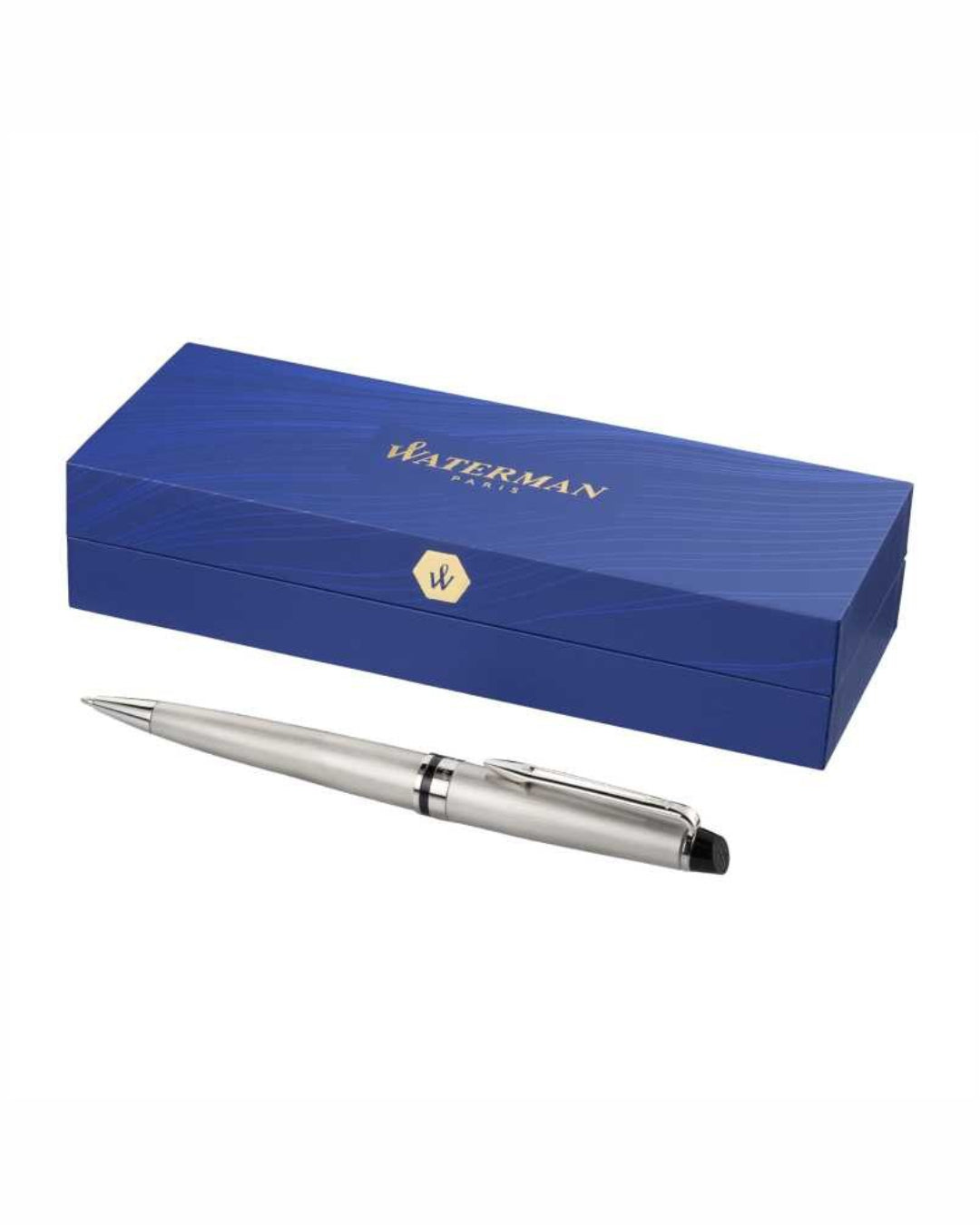 Penna a sfera Expert Waterman 00413