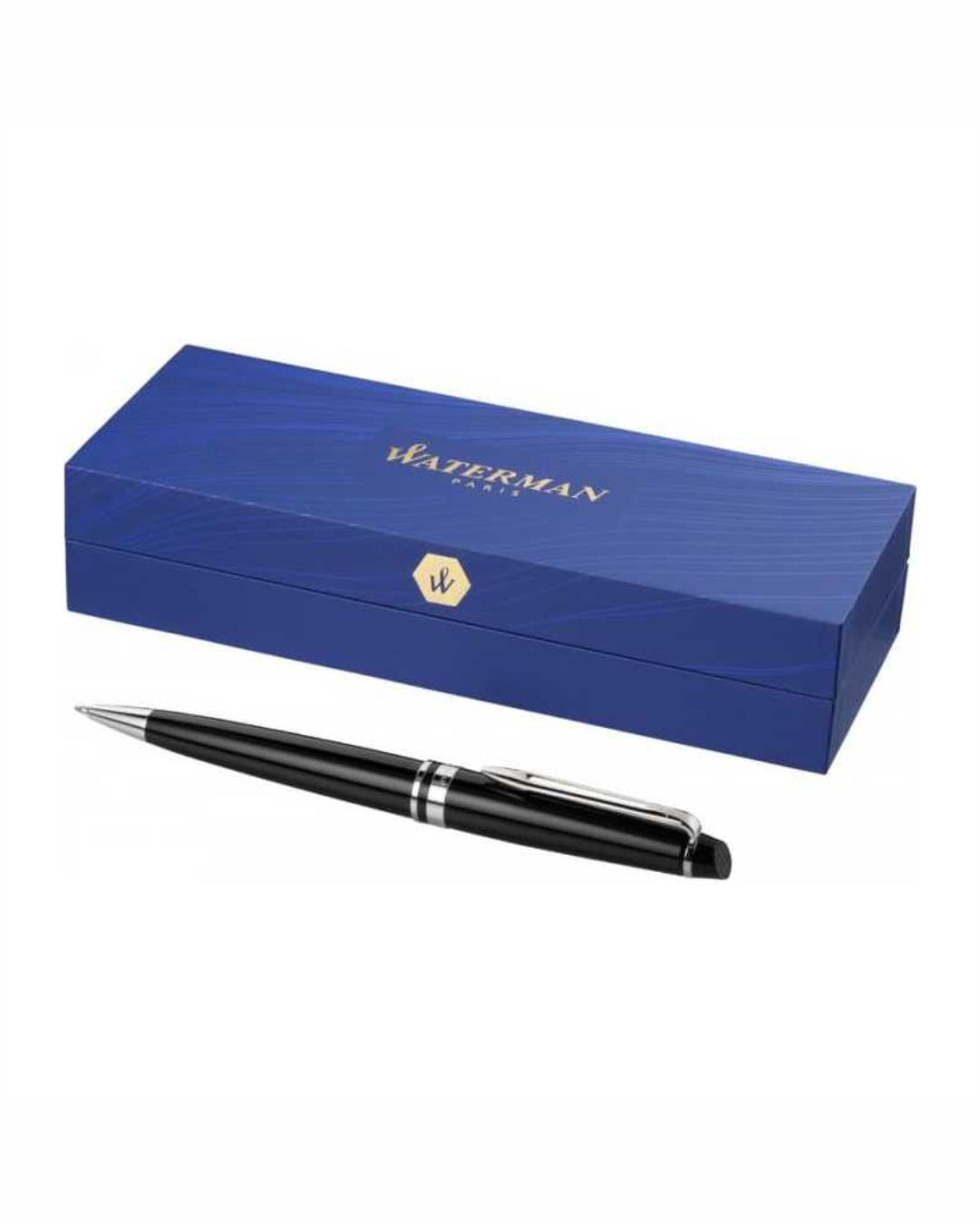 Penna a sfera Expert Waterman 00413