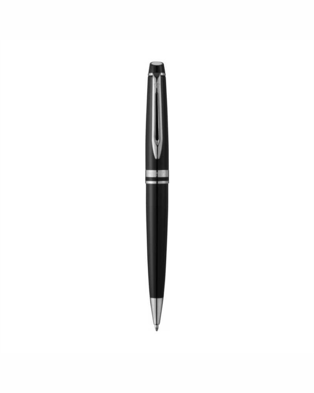 Penna a sfera Expert Waterman 00413
