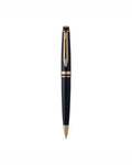 Penna a sfera Expert Waterman 00413