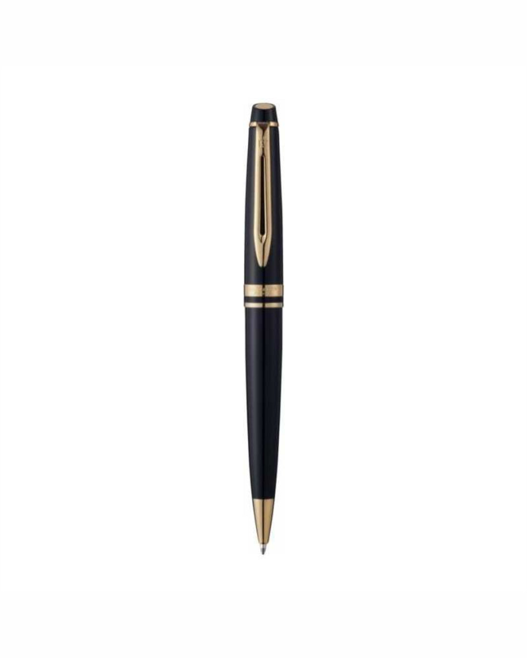 Penna a sfera Expert Waterman 00413