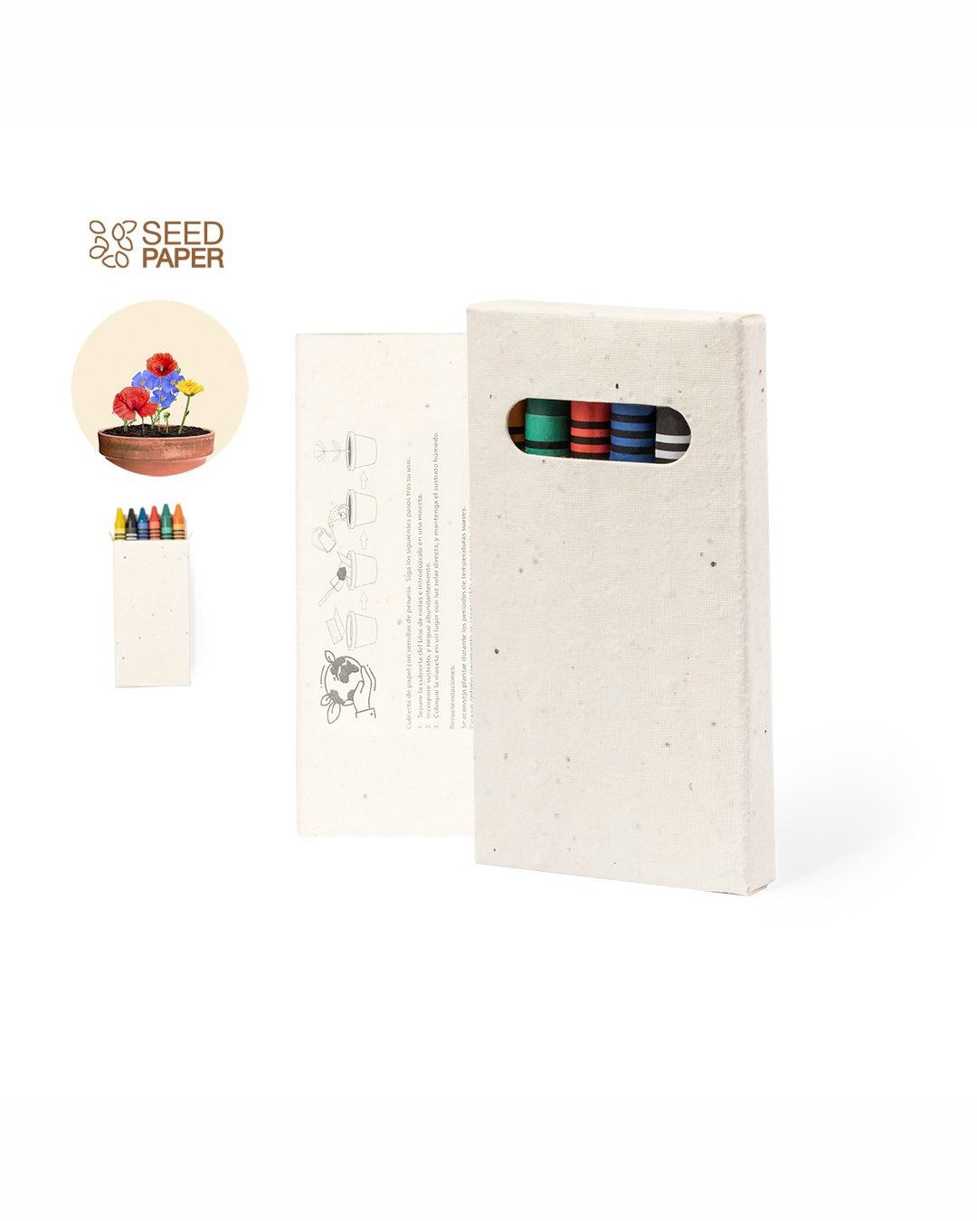 Set 6 pastelli a cera colorati in confezione con semi 00541