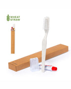 Set dentale 31 1641
