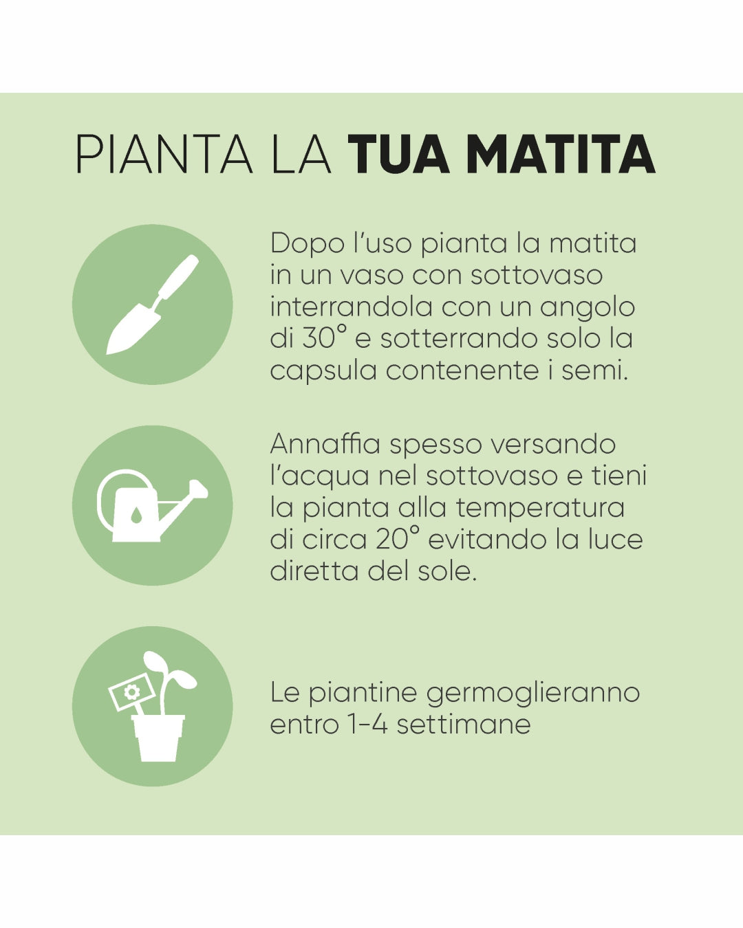 Sprout matita piantabile 00130