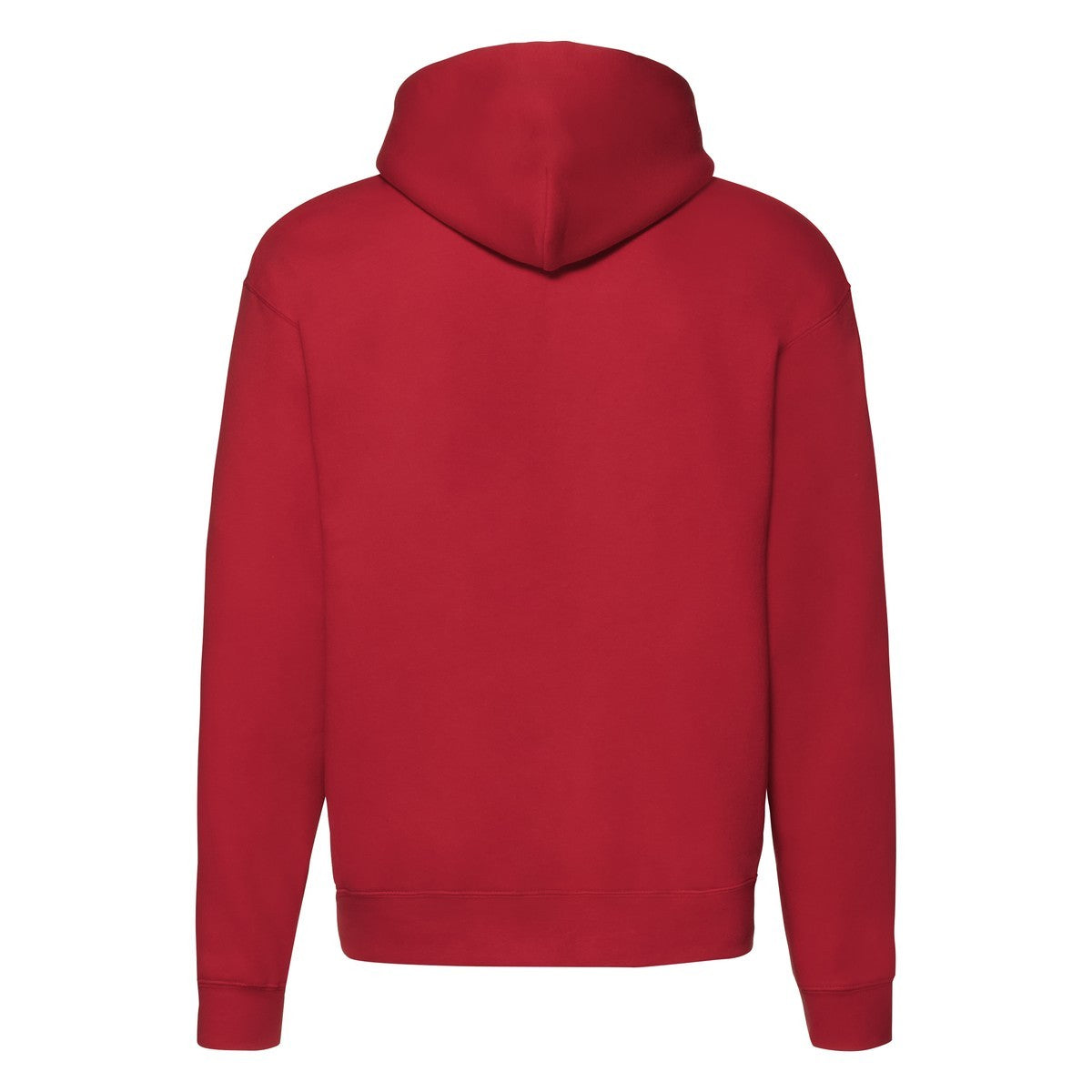 Premium felpa cappuccio zip lunga F62034