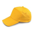 03502 Cappellino 7 pannelli