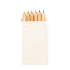 Set 6 matite colorate in confezione con semi 00505