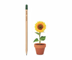 Sprout matita piantabile 00130