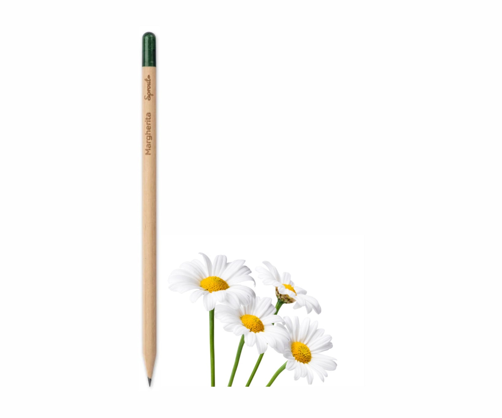 Sprout matita piantabile 00130