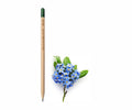 Sprout matita piantabile 00130