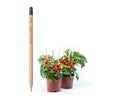 Sprout matita piantabile 00130