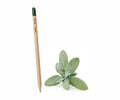 Sprout matita piantabile 00130