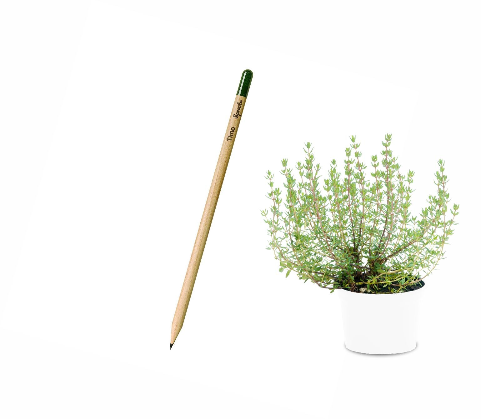 Sprout matita piantabile 00130